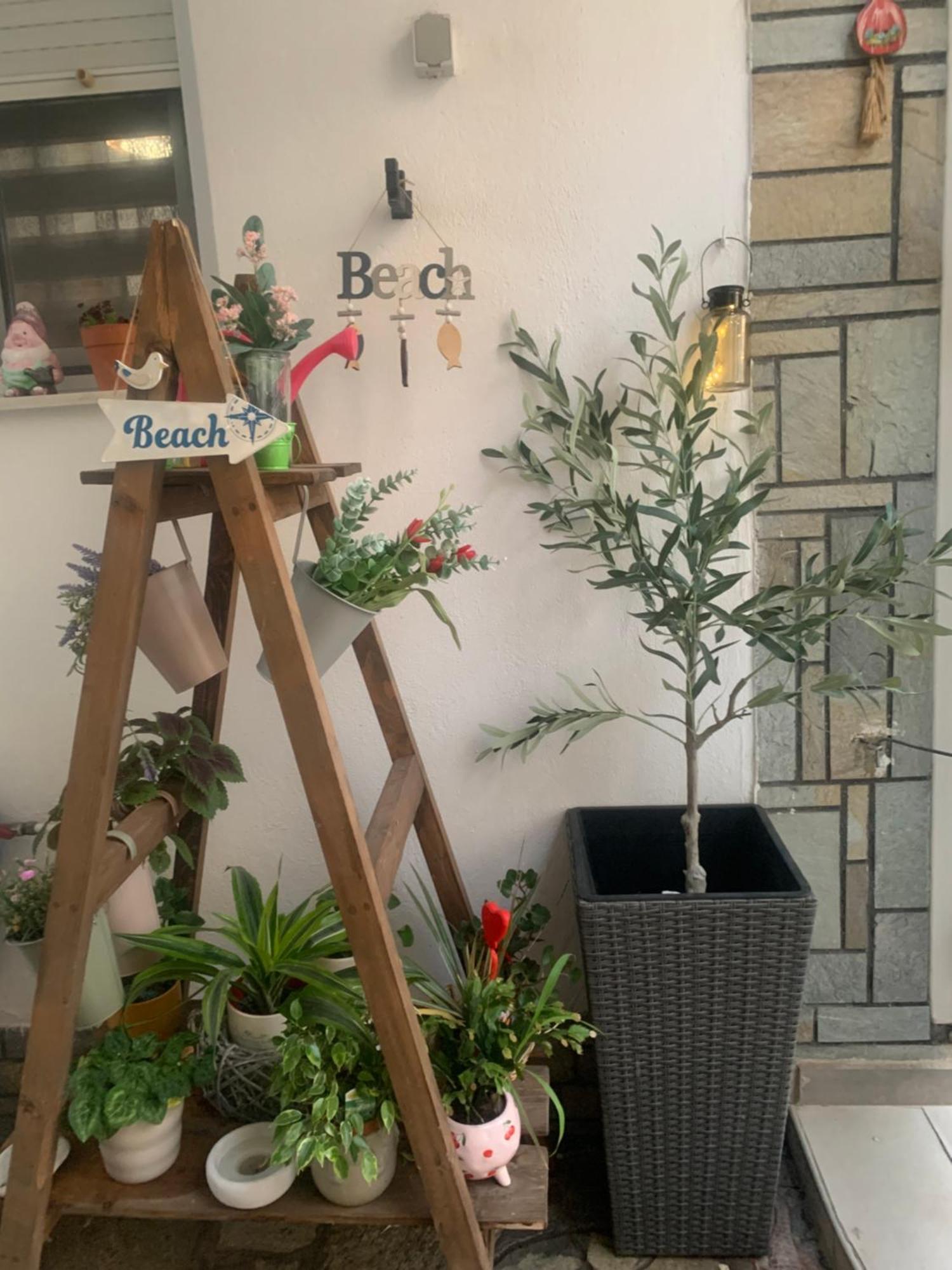 Hotel Exarhos Paralía 외부 사진